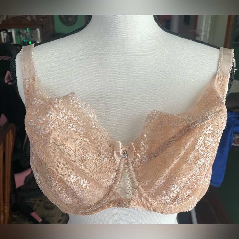 EUC 70GG Ewa Michalak BM Dust Beige Stretch Lace Polish Bra